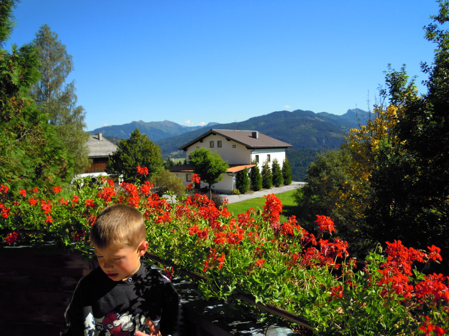 Falconry Burg Hohenwerfen Salzburg Burgen